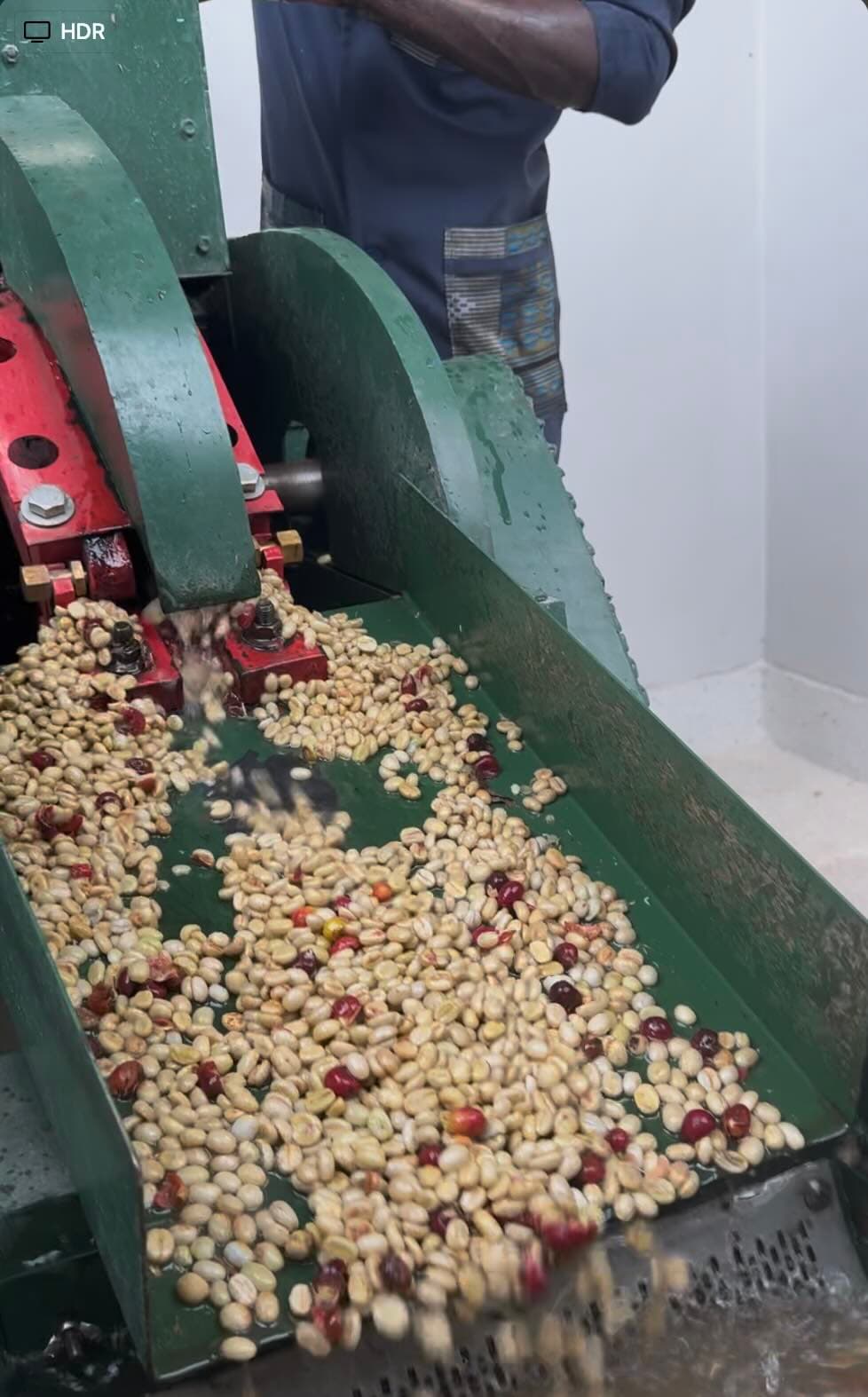 Careful Pulping