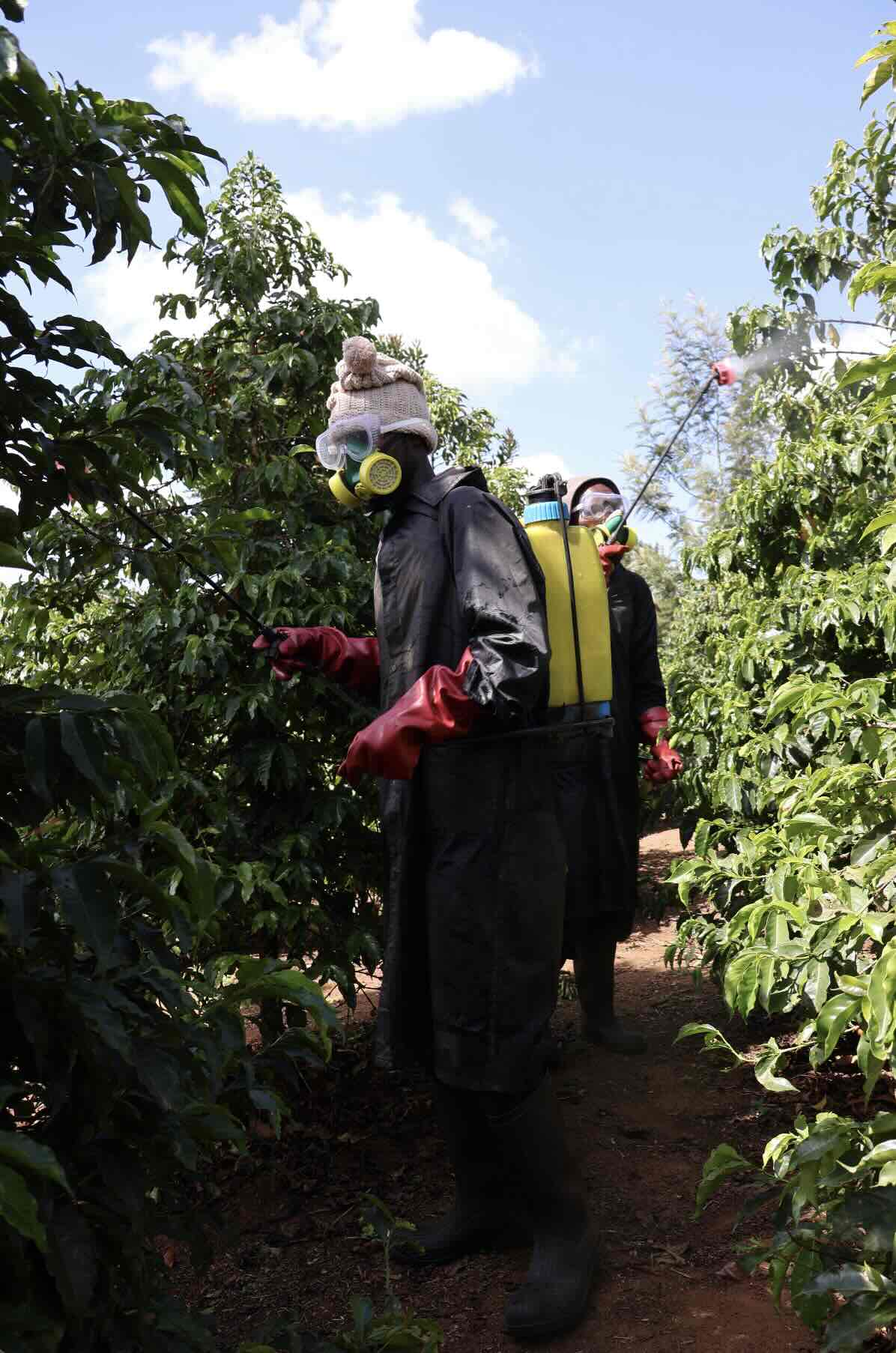 Plant Care & Maintenance