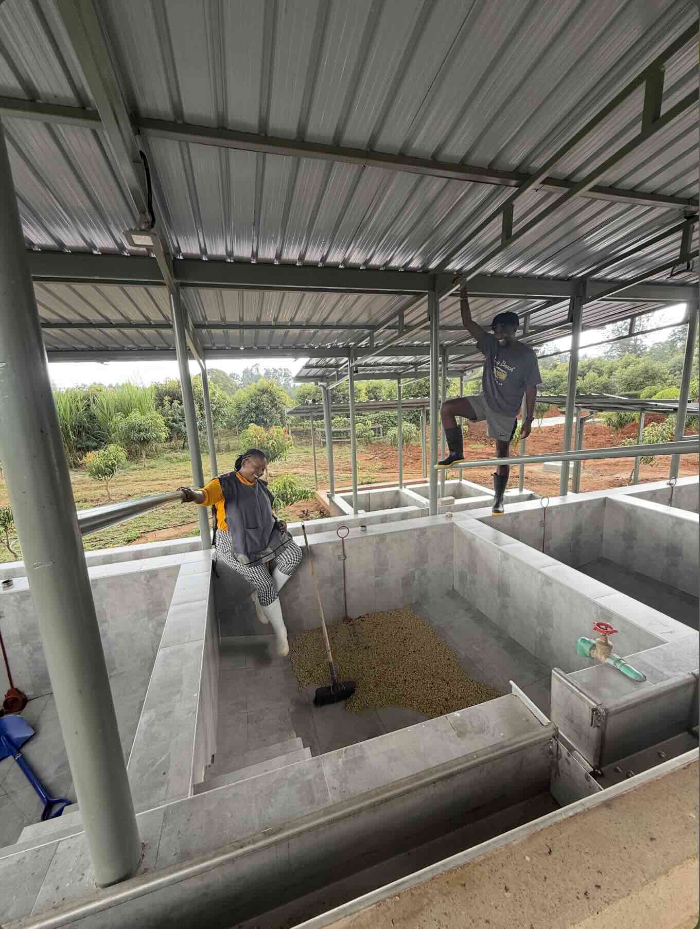 Thoughtful Processing