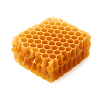 Honey Comb